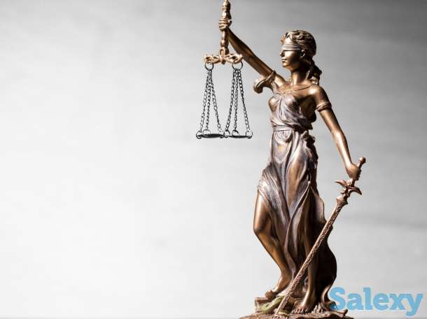 Юридические услуги. Представительство. Суд., фотография 1