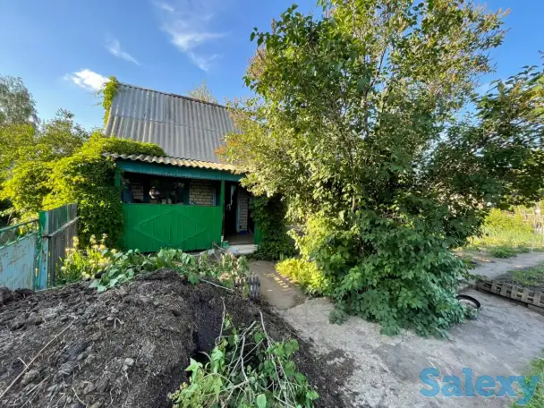 Дача. Петропавловск. Общество «Горизонт»., фотография 10