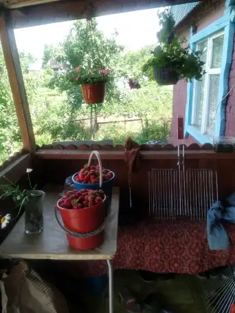 Продам дачу с мансардой в районе с. Кожохова рядом Усть-Каменогорск, фотография 10