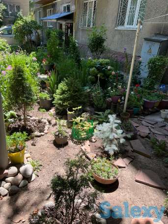 Продам 2-х комнатную квартиру на Абая-Момышулы, Жетысу-4, дом 7, фотография 12