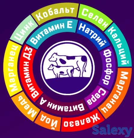 Надёжная защита здоровья быков, коров и овец, фотография 3