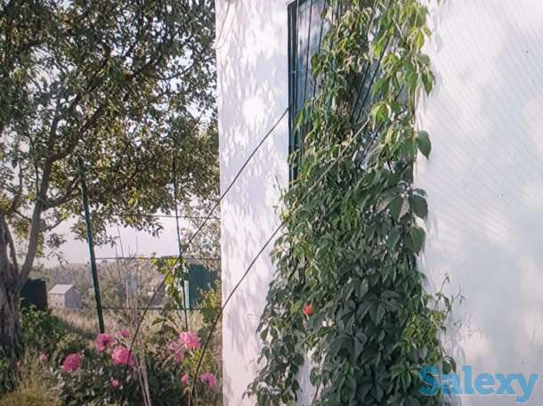 Продаем дачу срочно!, Турар, Турарские дачи, фотография 2