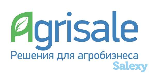 Агрисеил- помощь в продаже сельхозпродукции., фотография 1