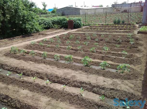 Продам дом!с.Актогай.ул.Абая.д.113, фотография 2