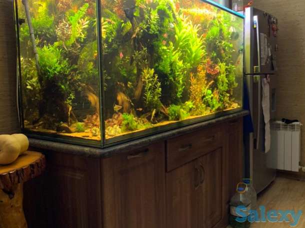 Аквариум под ключ на 865 литров, фотография 1