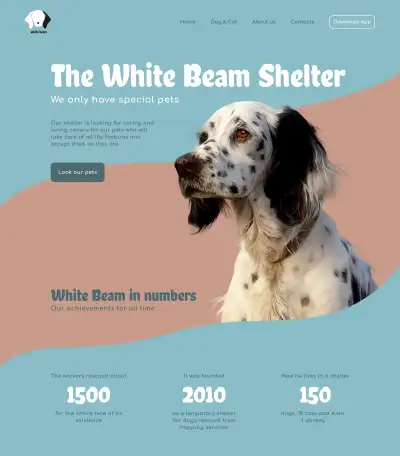 Я UXUI designer. Создам интересный дизайн сайта в Figma для вас, фотография 3