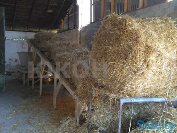 Транспортер подачи круглых рулонов с разматывателем, фотография 1