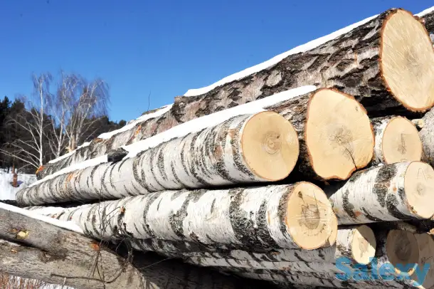 Березовый фанкряж (пиловочник), 1; 2 сорта., фотография 1