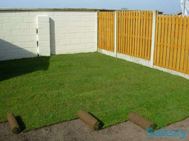 РУЛОННЫЙ ГАЗОН высшего качества, фотография 1