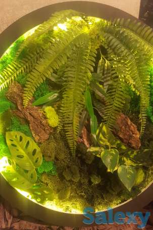 Картина, фотография 4