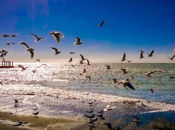 квартира в Сочи у моря для отдыха, сдачи и инвестиций., фотография 2