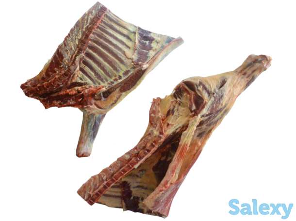 Поставка мяса птицы, говядины, баранины, фотография 5