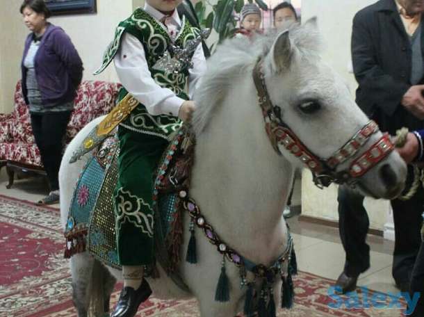 аренда пони, лошади, фотография 1