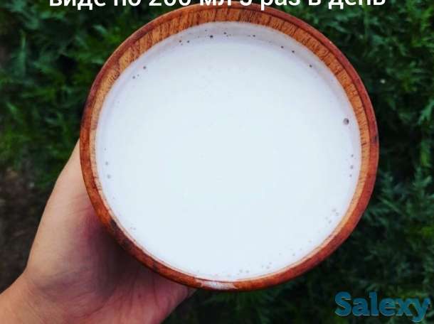 Саумал туры, фотография 5