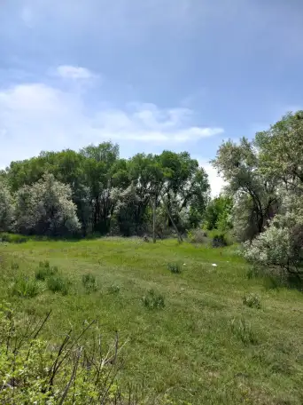 ПРОДАМ ЗЕМЛЮ! СРОЧНО! ТОРГ УМЕСТЕН., фотография 3