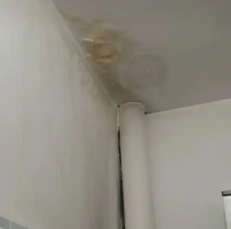 Удаление пятен на потолке 100 гарантия, фотография 1