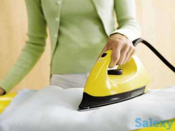 Гладильщица, фотография 1