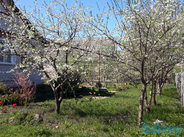 продам жилой дом 180м2, фотография 9