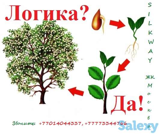 Курсы Скорочтения и Логики, фотография 2