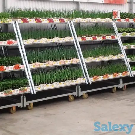 Тележка-трансформер Кабриолет, фотография 4