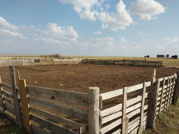 Продам готовое КХ, фотография 8