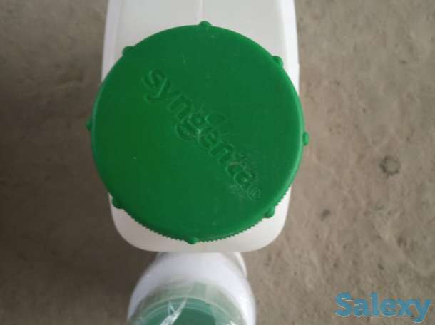 Проклэйм, фотография 2