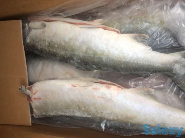 Партнёрство, фотография 1