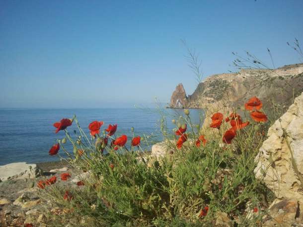 Отдых на море, фотография 1