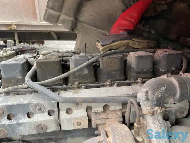 Man, фотография 3