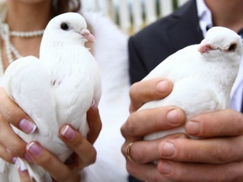 видео съемка, фотография 1