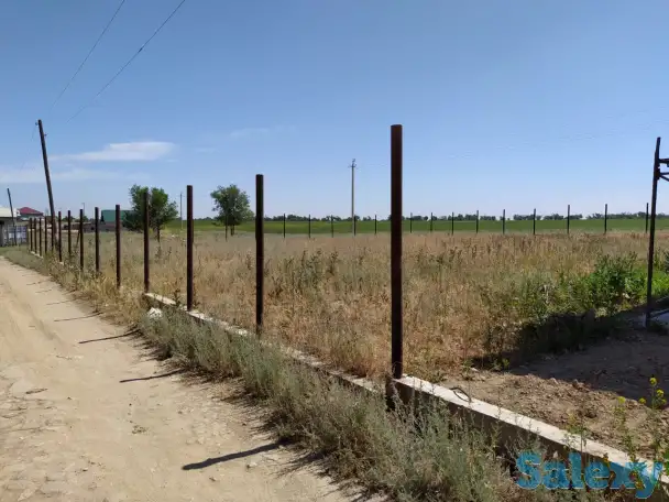 Срочно продам участок недорого, Дачный массив дружба, фотография 4