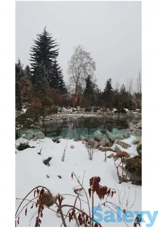 Строительство прудов, фотография 5