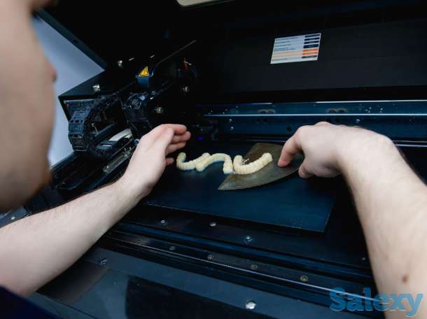 Ortholiner, фотография 7