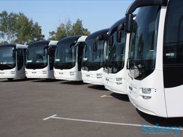 NUR-TRANS прокат авто с водителем и без водителя, фотография 12