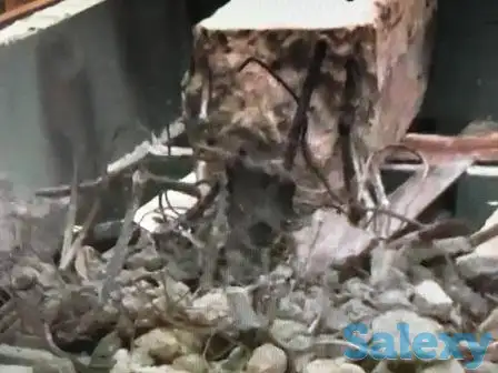 Дробильно-сортировочный комплекс для строительных отходов, фотография 2