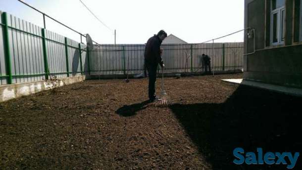 посадка газона, фотография 1