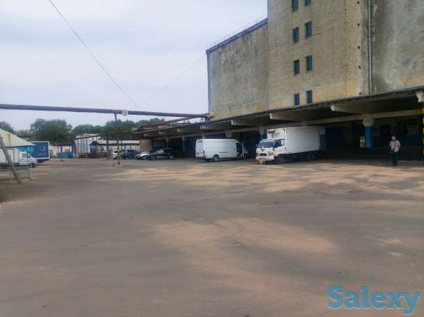 Сдаем в аренду, Турксибский район, ул. Бекмаханова 97А, фотография 6