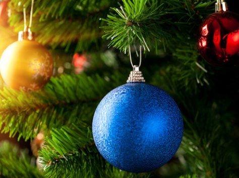 Шикарные ели из Таиланда, фотография 1