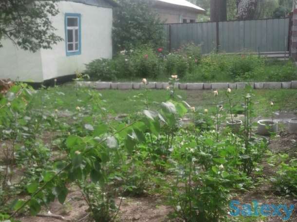 дом, село Балтабай, улица Школьная 24, фотография 6