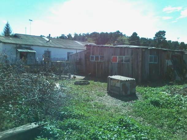 Продам Дом село Урумкай от Щучинска 35км, фотография 5