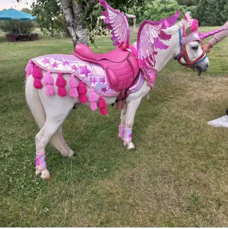 пони на Детский праздник, фотография 14