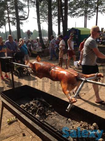 Производство и продажа электро-вертелов, фотография 3