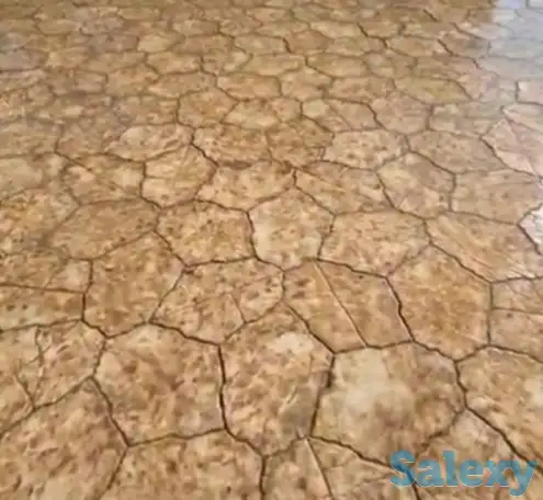 Ищу компаньона или инвестора, фотография 9