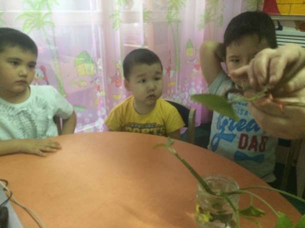 Детский сад Томпак ждет деток с 2  до 6 лет!!!, фотография 2