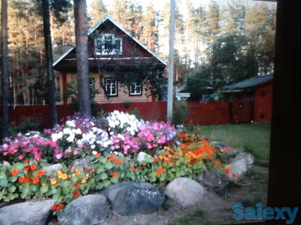 Добротный зимний дом в красивейшем месте, область,Хвойнинский район,ст.Кабожа, фотография 5