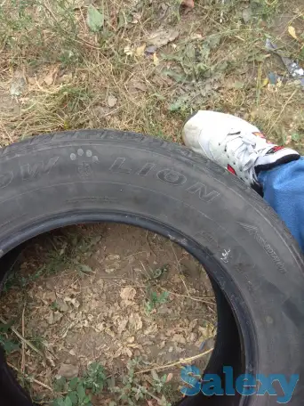 шины, фотография 2