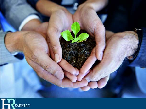 «Система повышения эффективности компании», фотография 1