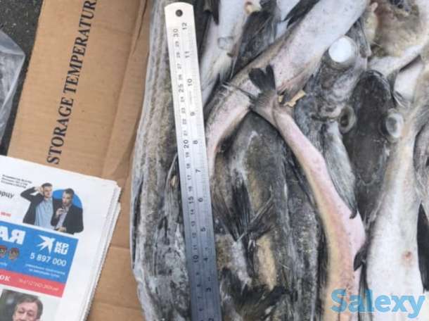 Морепродукты, фотография 2