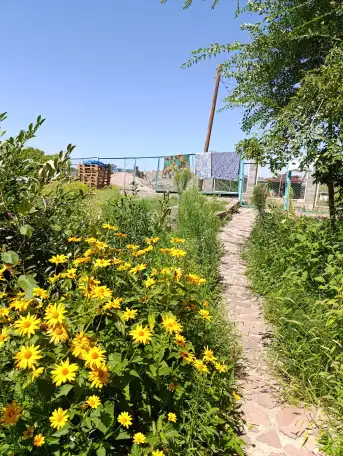 Сдается дача со всеми удобствами всё необходимое естьдла хорошего отдыха, фотография 4