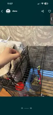 Продаю клетку для кроликовгрызунов, фотография 6